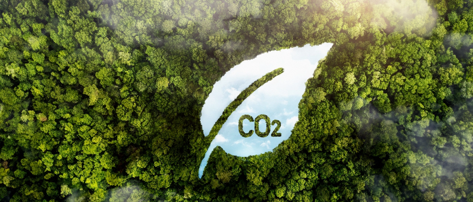 The Future of Sustainable Shipping: How the Industry is Reducing Its Carbon Footprint